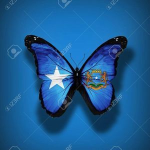 Meet your Posher, Mumtaz